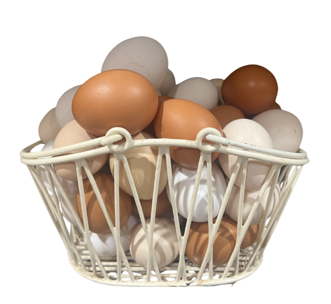 Basket of Eggs